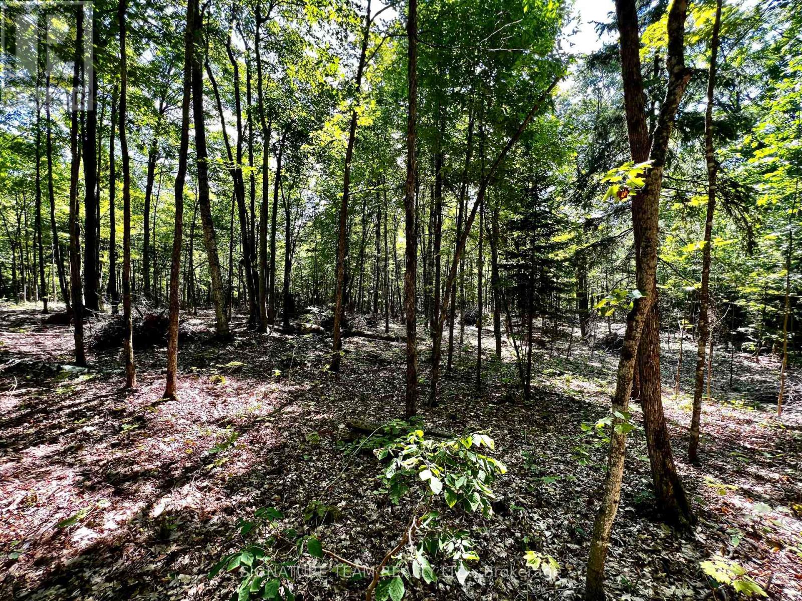 0 Nordic Lane, Brudenell, Ontario  K0J 2A0 - Photo 29 - X12346236