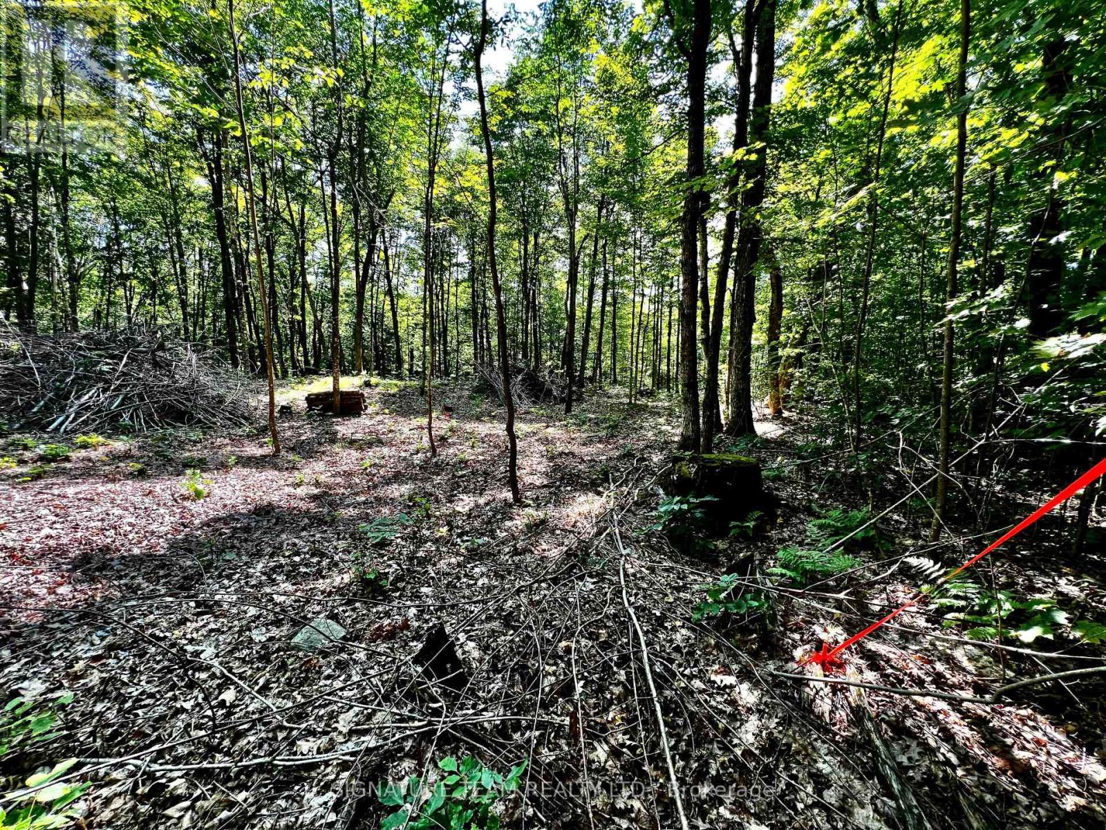 0 Nordic Lane, Brudenell, Ontario  K0J 2A0 - Photo 30 - X12346236