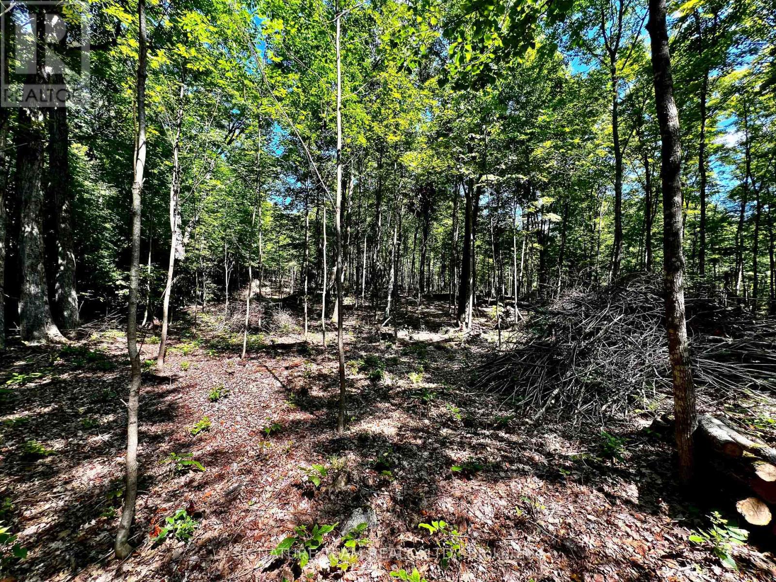 0 Nordic Lane, Brudenell, Ontario  K0J 2A0 - Photo 31 - X12346236