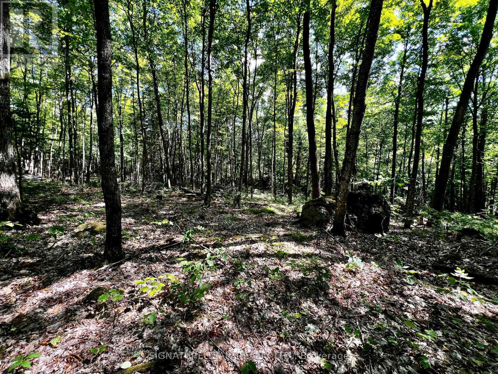 0 Nordic Lane, Brudenell, Ontario  K0J 2A0 - Photo 32 - X12346236