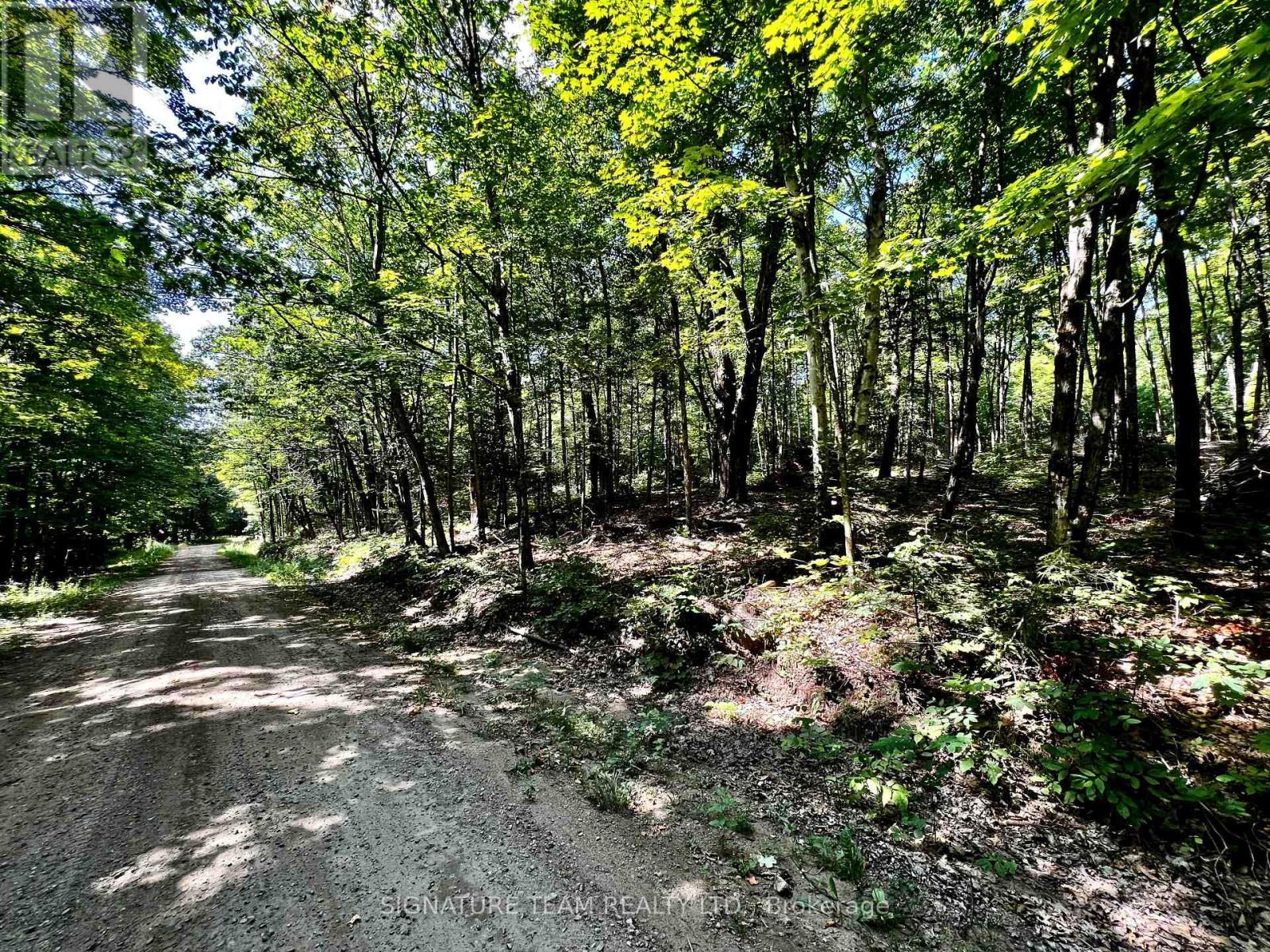 0 Nordic Lane, Brudenell, Ontario  K0J 2A0 - Photo 35 - X12346236