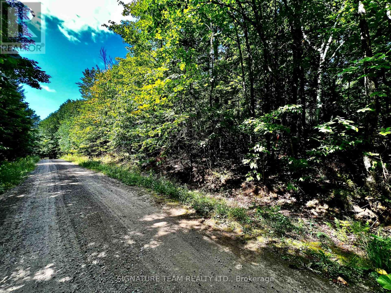 0 Nordic Lane, Brudenell, Ontario  K0J 2A0 - Photo 37 - X12346236
