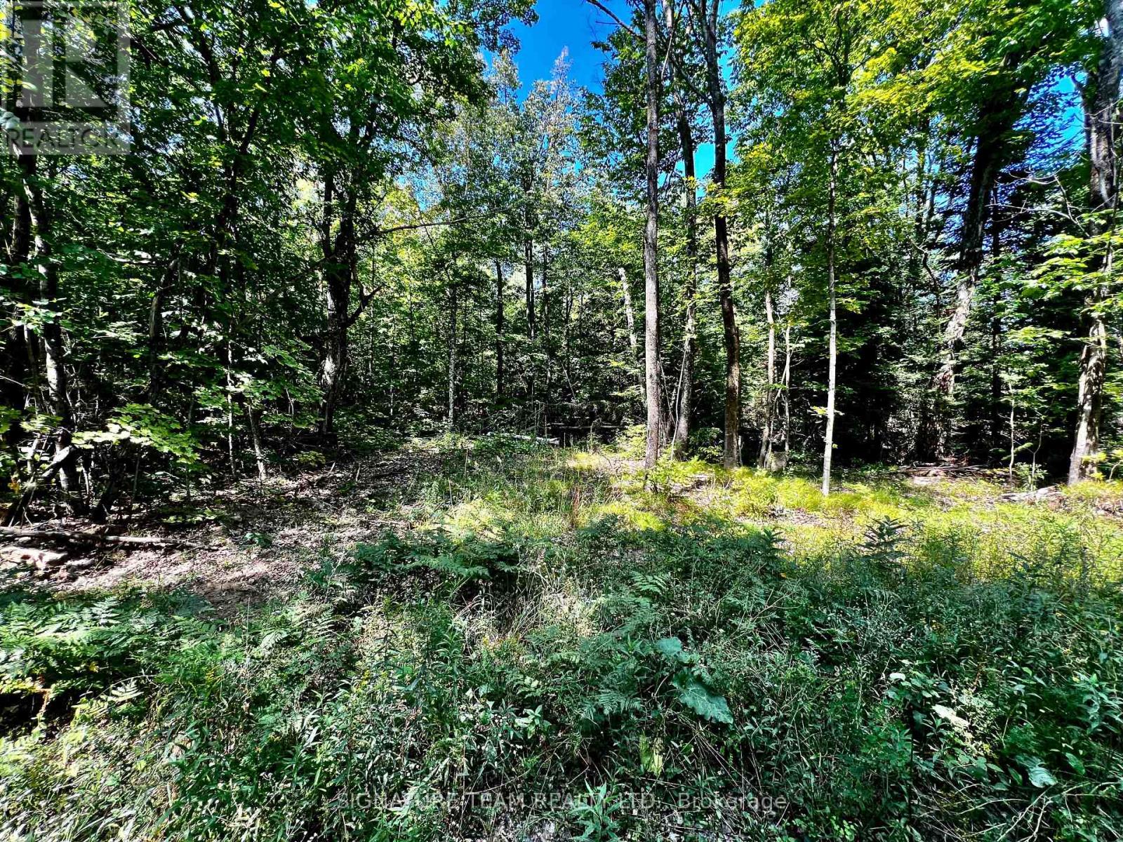 0 Nordic Lane, Brudenell, Ontario  K0J 2A0 - Photo 38 - X12346236
