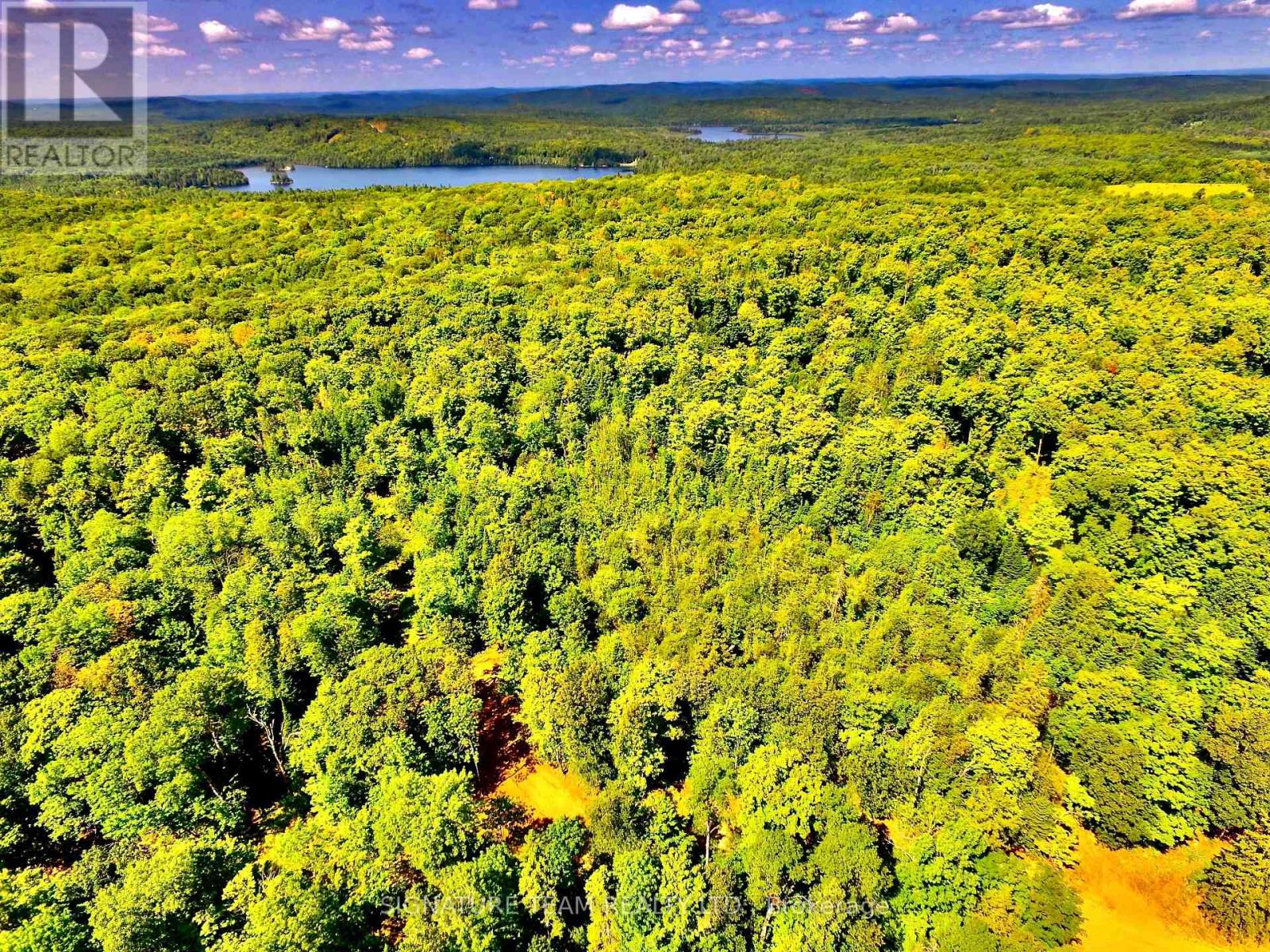 0 Nordic Lane, Brudenell, Ontario  K0J 2A0 - Photo 8 - X12346236
