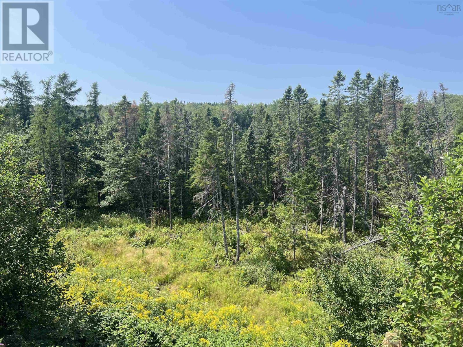 46 Mary Etta Drive, Upper North River, Nova Scotia  B6L 6L6 - Photo 16 - 202520426