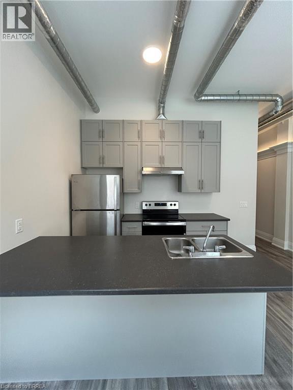 11 Queen Street Unit# 205, Brantford, Ontario  N3T 3B1 - Photo 4 - 40741460