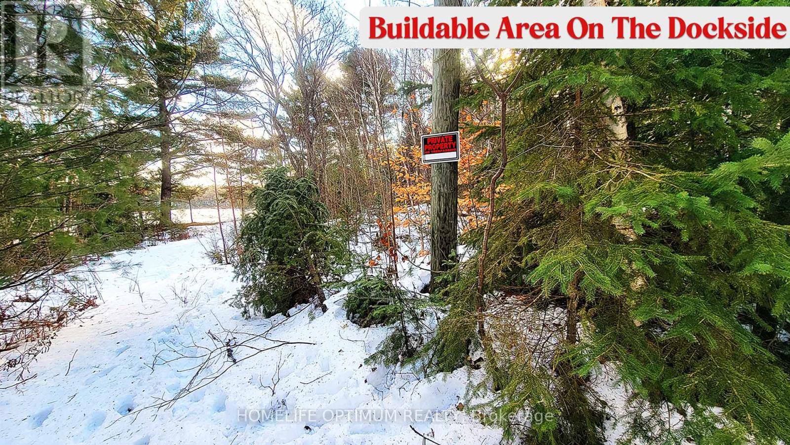 89 Mckellar Ferguson Boundary Road, Mcdougall, Ontario  P2A 2W7 - Photo 4 - X12346573