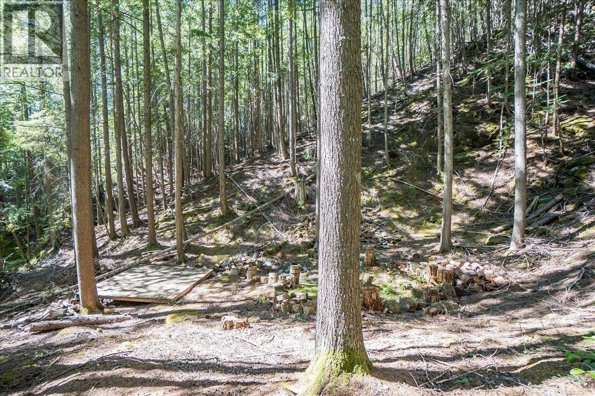 5631 Longbeach Road, Nelson, British Columbia  V1L 6N9 - Photo 83 - 10359069