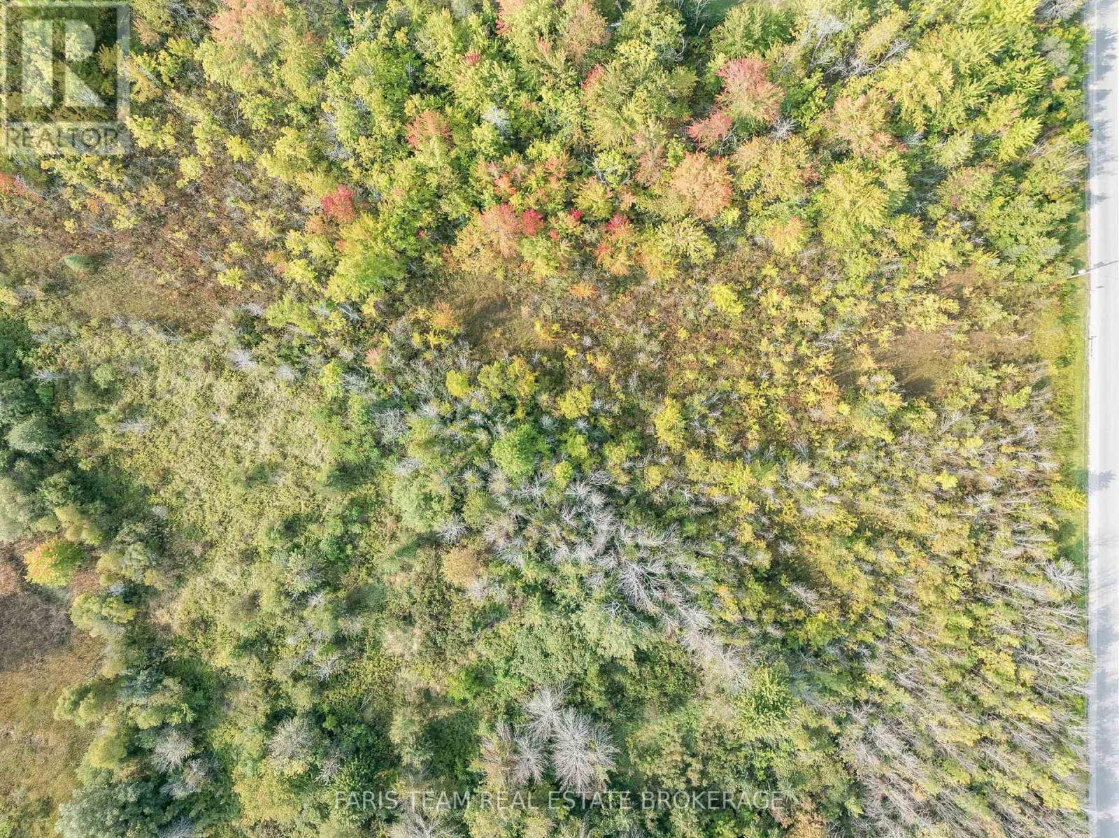 15 Quarry Road, Tay (Waubaushene), Ontario  L0K 2C0 - Photo 4 - S12346671