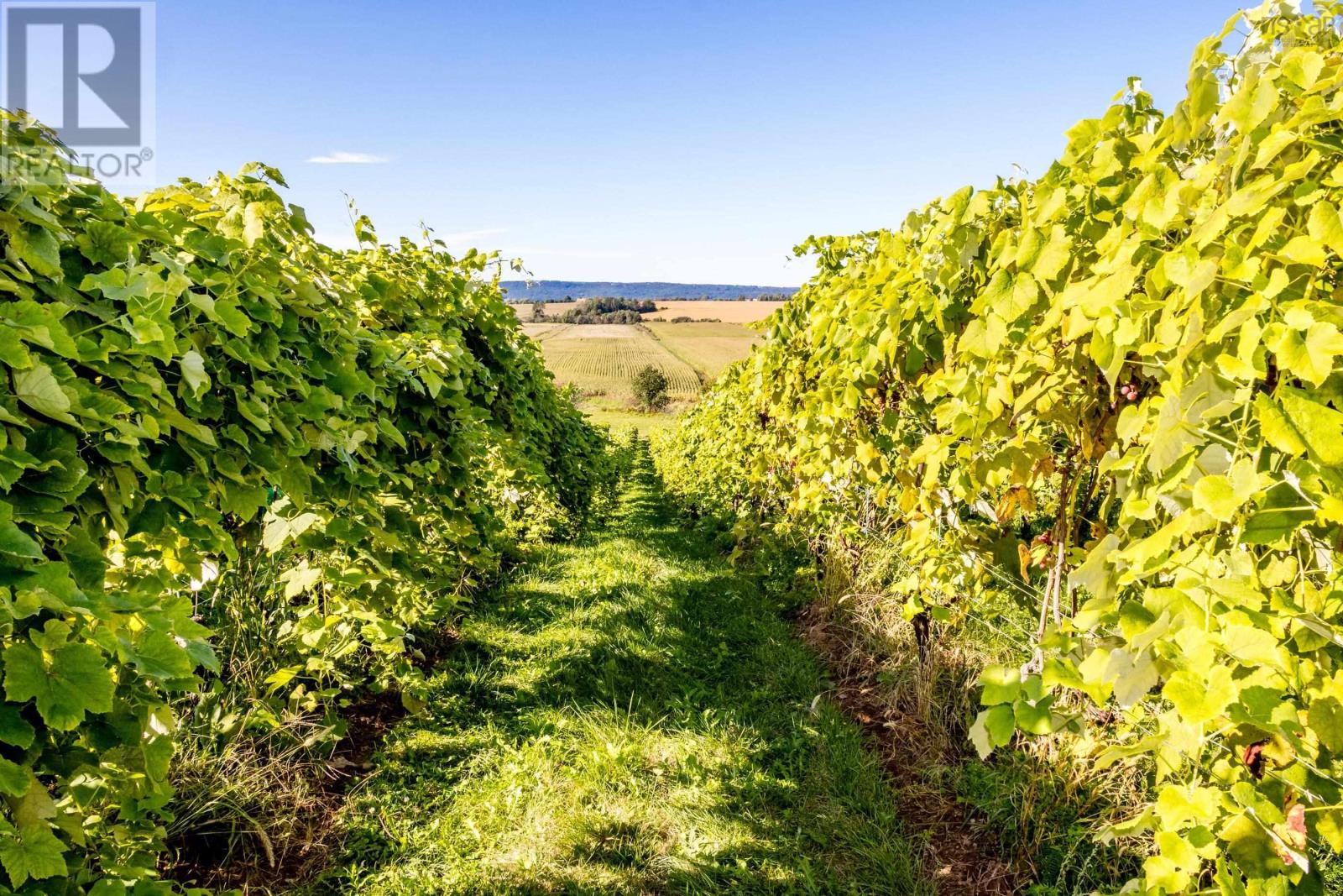 1441 Church Street, Port Williams, Nova Scotia  B0P 1T0 - Photo 4 - 202520688