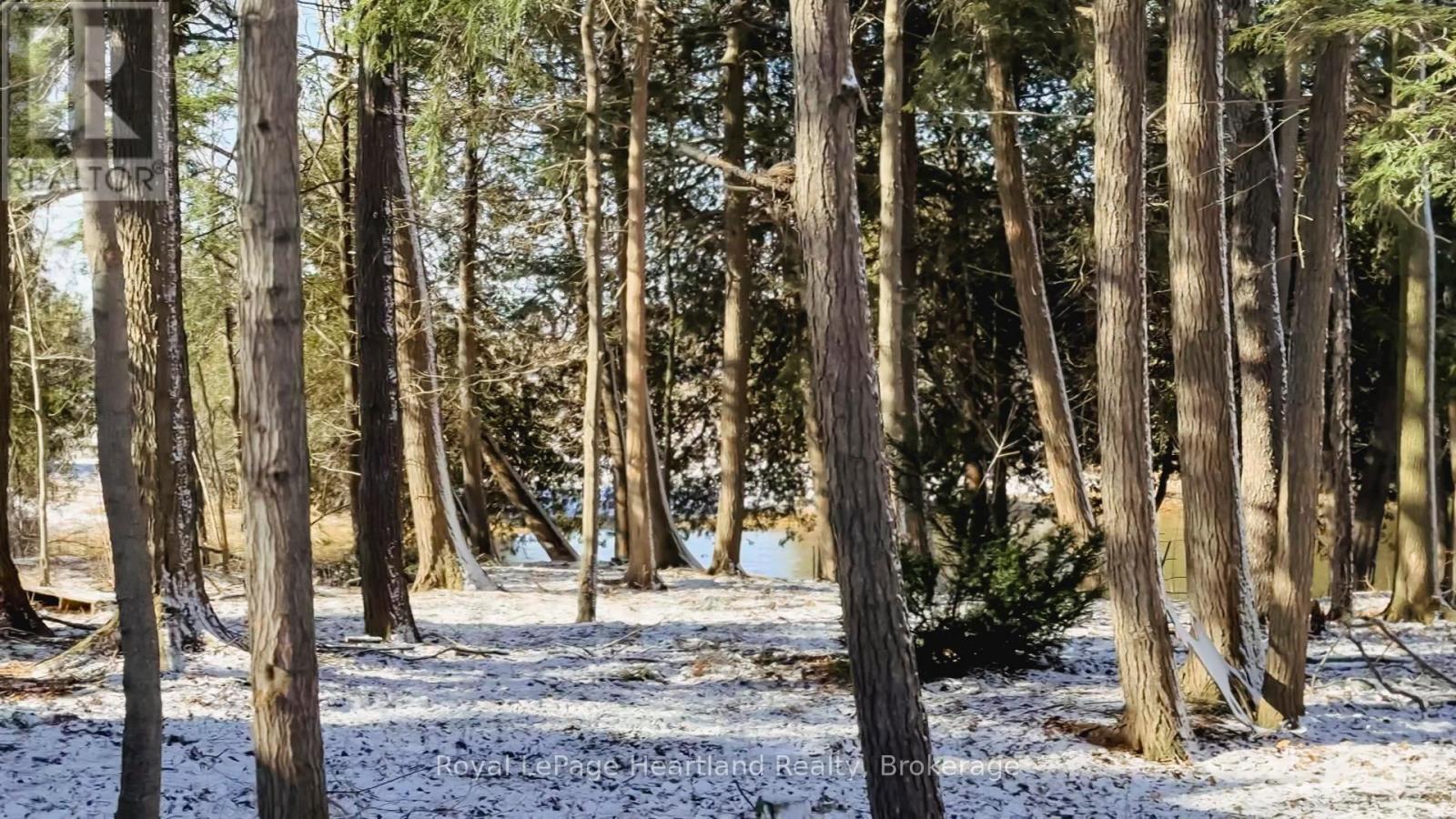 41829 Amberley Road, Morris Turnberry, Ontario  N0G 1G0 - Photo 48 - X12347018