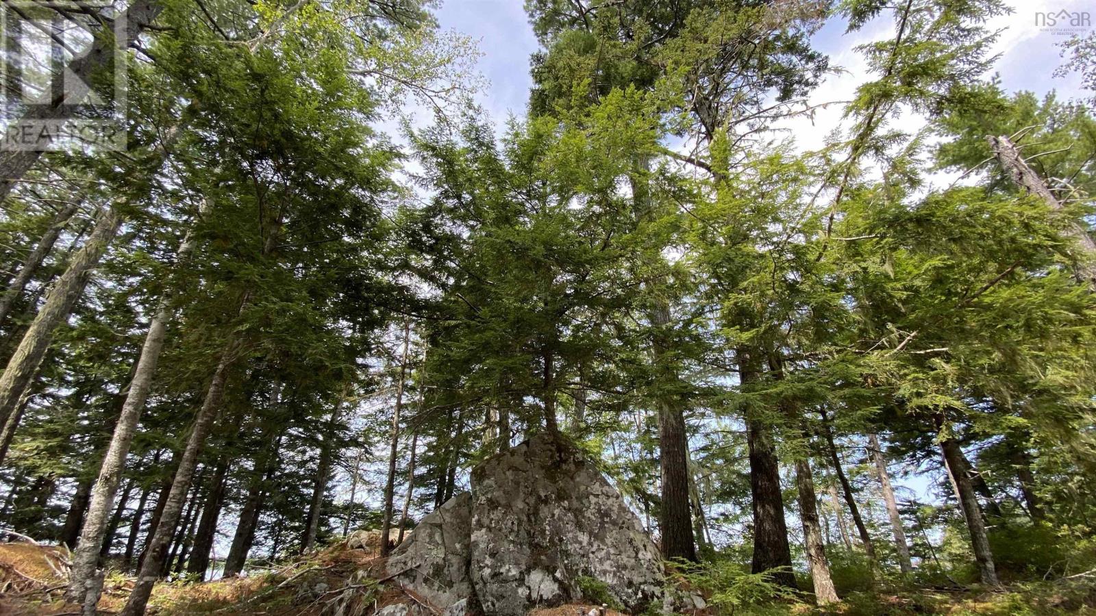 Lot 1 Handley's Point Road, Labelle, Nova Scotia  B4V 8V1 - Photo 12 - 202520707