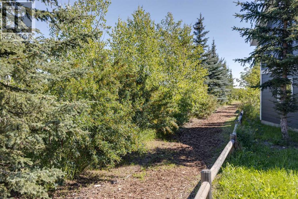 216 Cottageclub Crescent, Rural Rocky View County, Alberta  T4C 1B1 - Photo 29 - A2248971