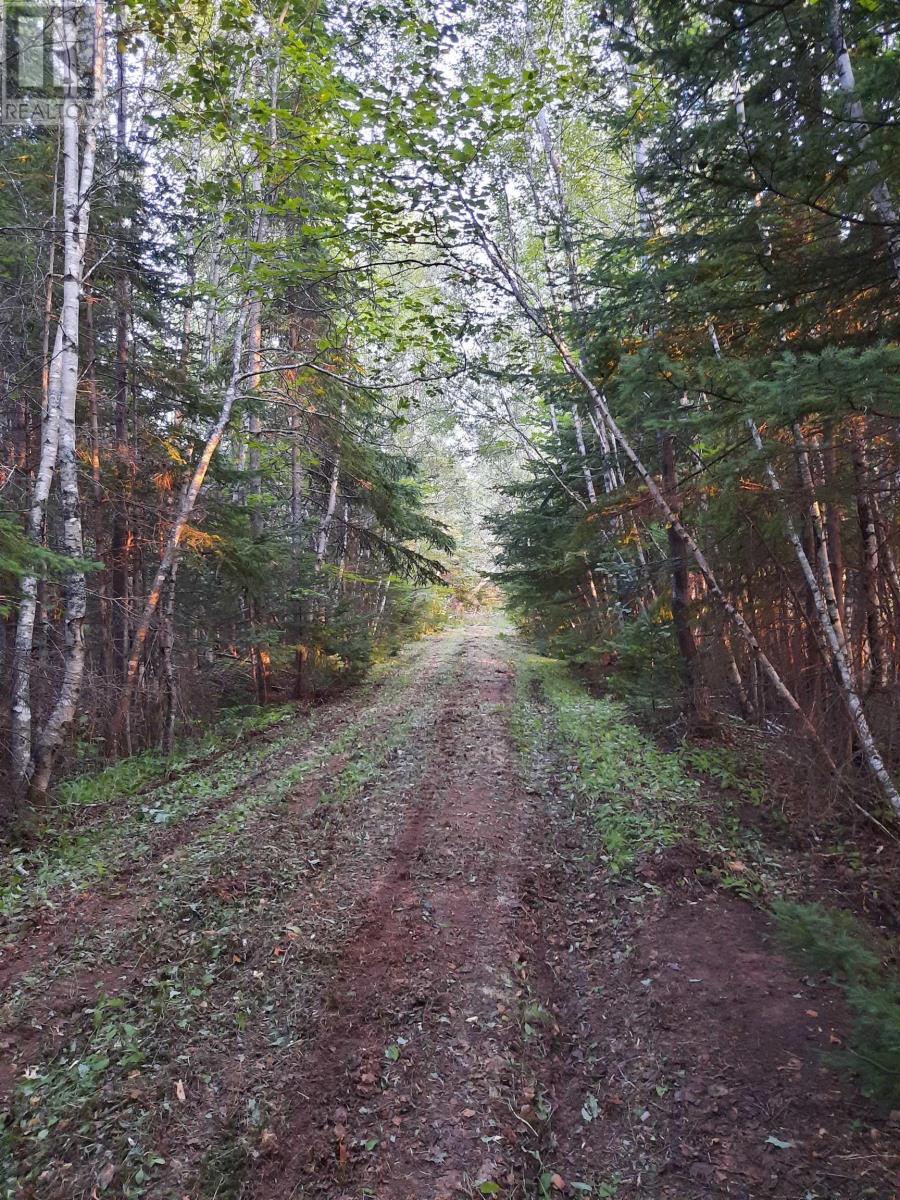 Lot Heathbell Road, Scotch Hill, Nova Scotia  B0K 1R0 - Photo 11 - 202501166