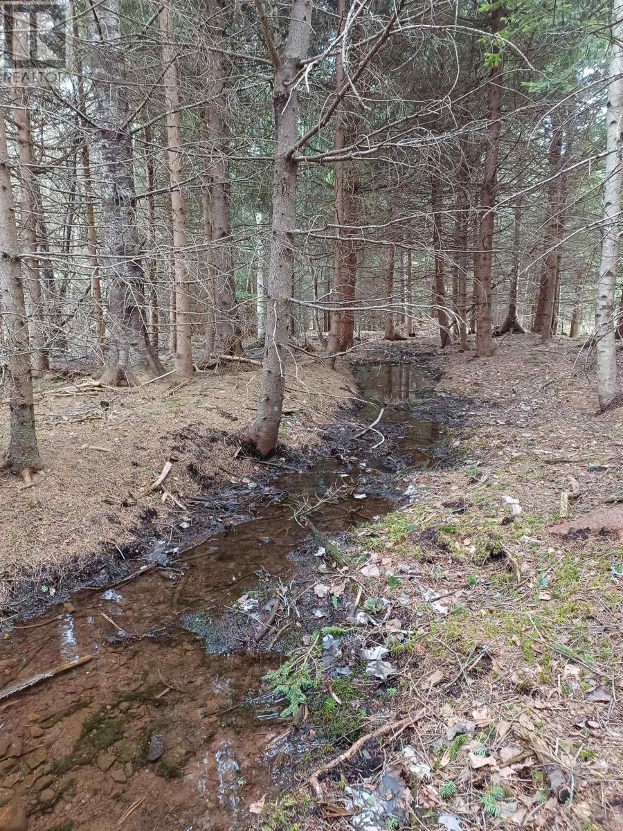Lot Heathbell Road, Scotch Hill, Nova Scotia  B0K 1R0 - Photo 9 - 202501166
