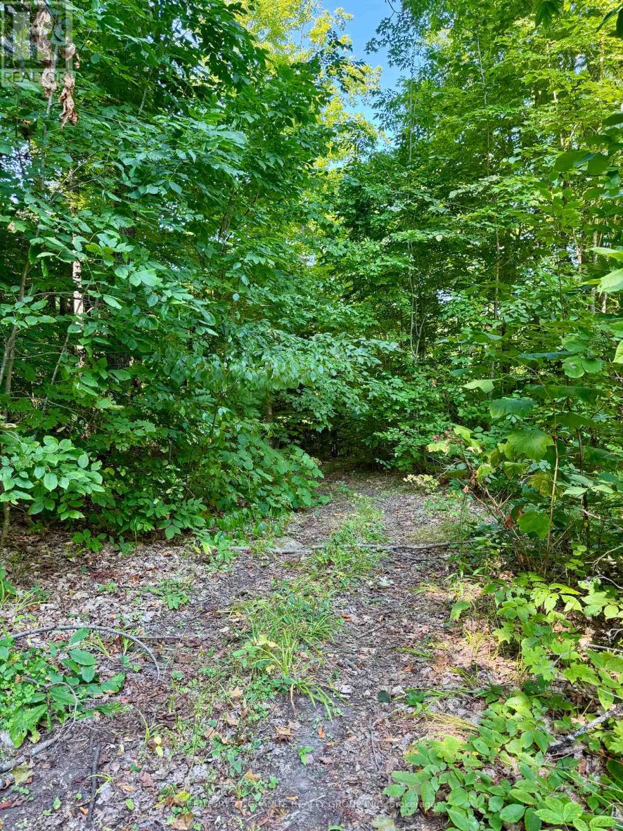 261a Copeland Lake Road, Addington Highlands, Ontario  K0H 1L0 - Photo 10 - X12347056