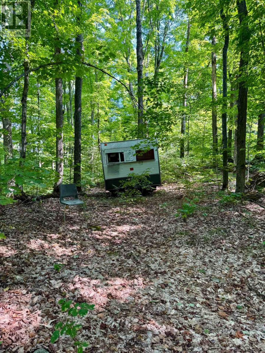 261a Copeland Lake Road, Addington Highlands, Ontario  K0H 1L0 - Photo 12 - X12347056