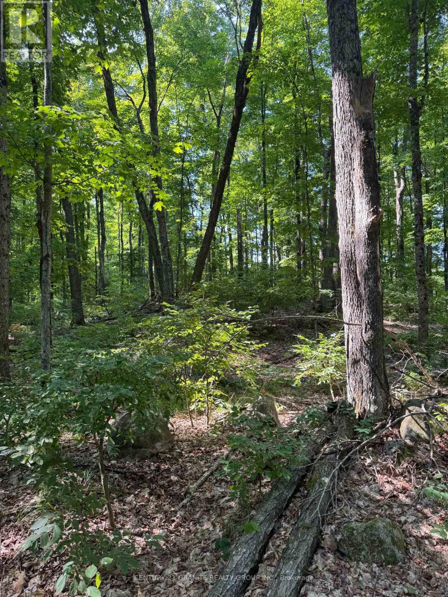 261a Copeland Lake Road, Addington Highlands, Ontario  K0H 1L0 - Photo 15 - X12347056