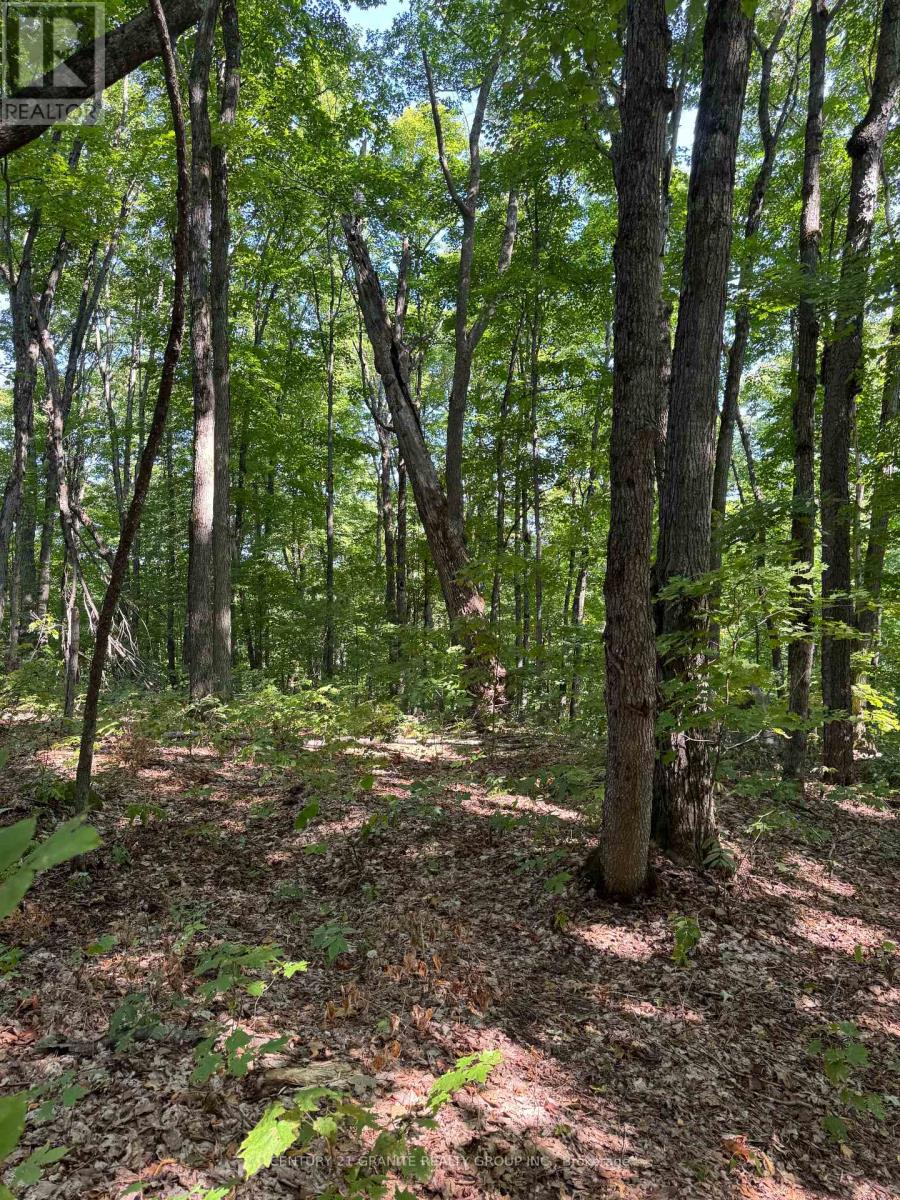 261a Copeland Lake Road, Addington Highlands, Ontario  K0H 1L0 - Photo 17 - X12347056