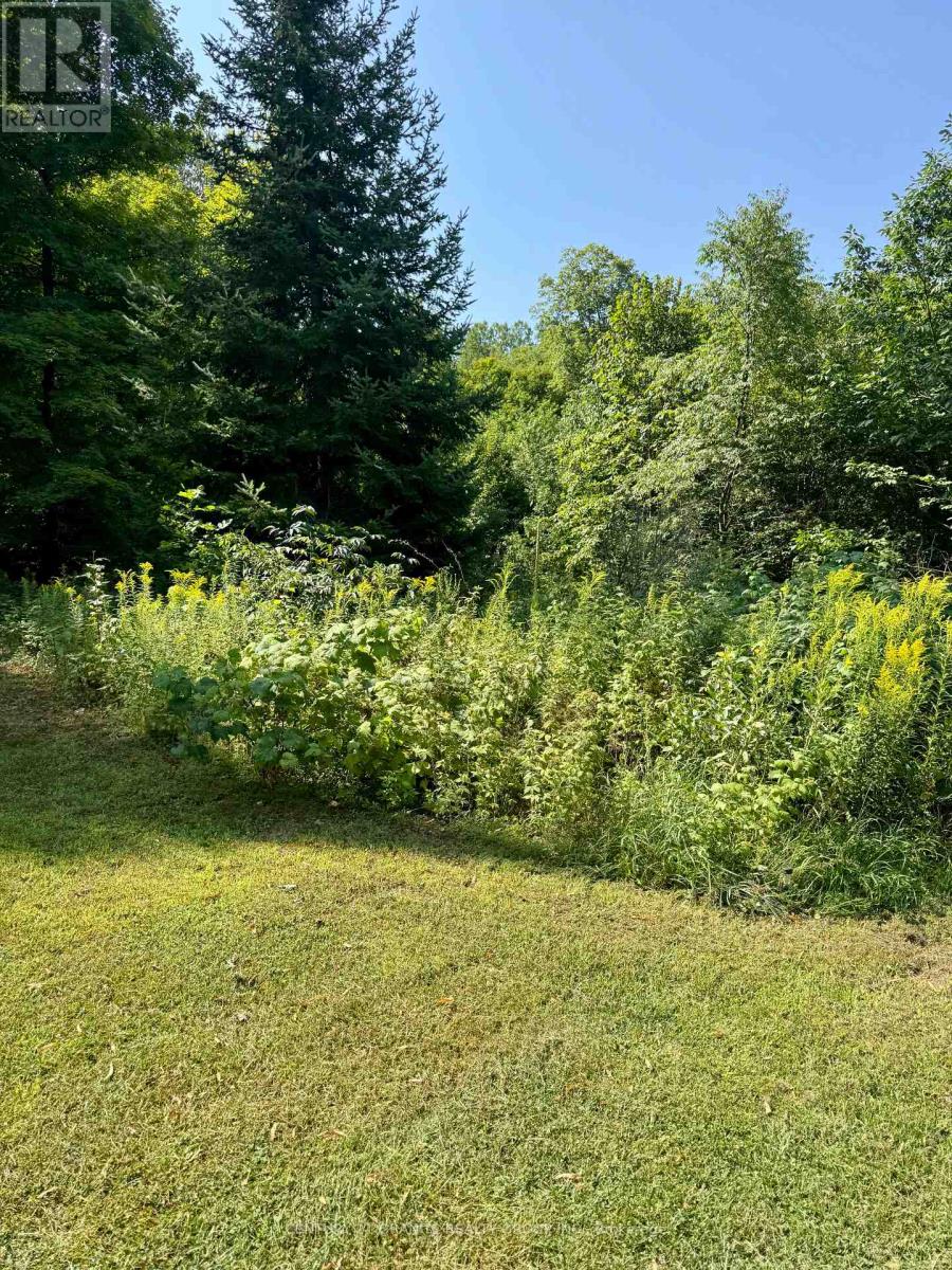 261a Copeland Lake Road, Addington Highlands, Ontario  K0H 1L0 - Photo 21 - X12347056