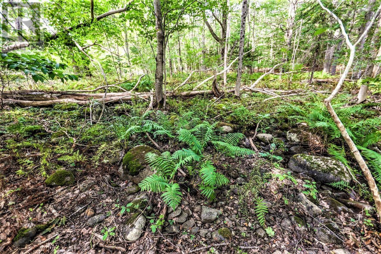 Lot 21-1 & -2 Wye Street, Mahone Bay, Nova Scotia  B0J 2E0 - Photo 12 - 202520754