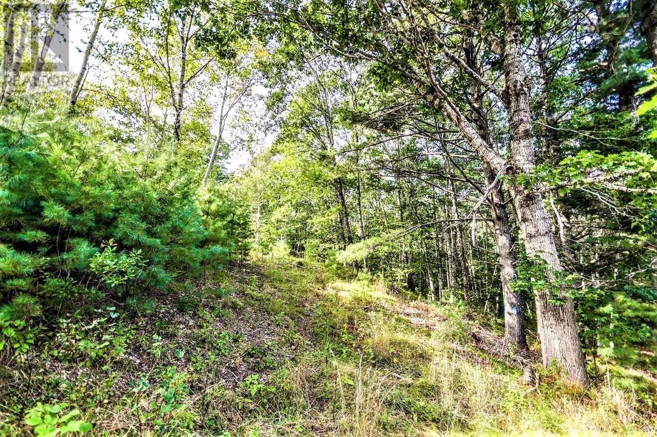 Lot 21-1 & -2 Wye Street, Mahone Bay, Nova Scotia  B0J 2E0 - Photo 14 - 202520754