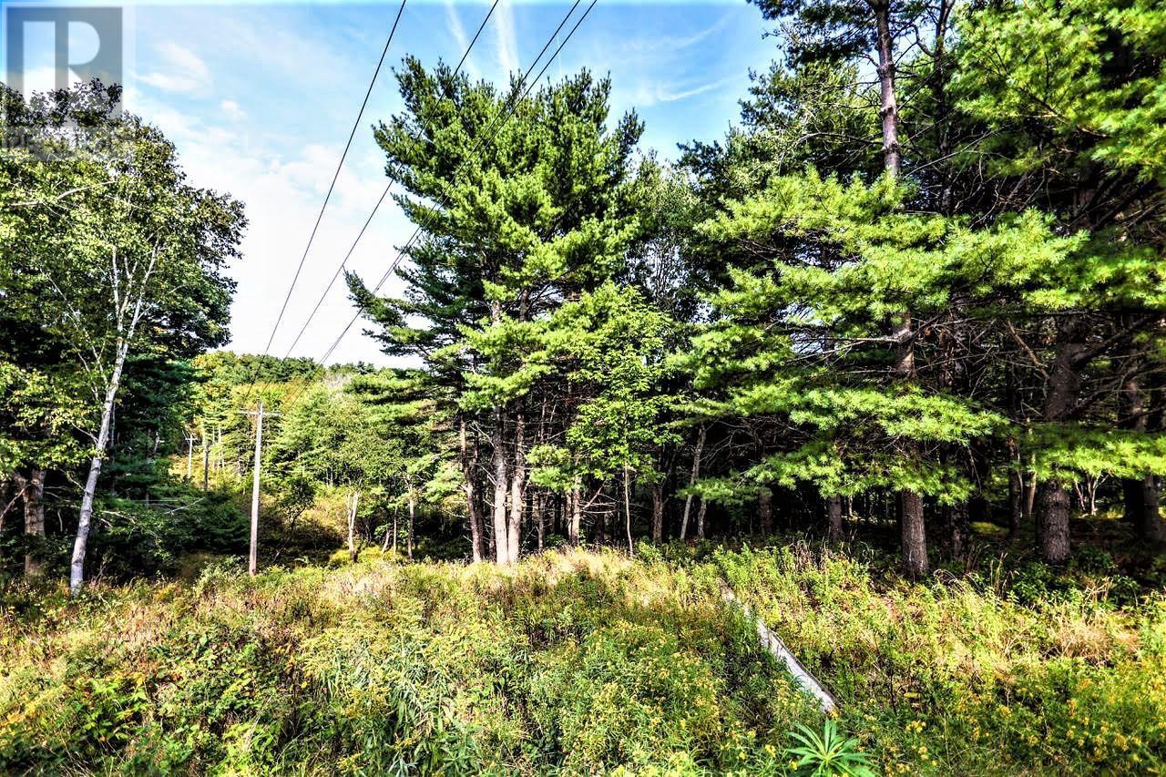 Lot 21-1 & -2 Wye Street, Mahone Bay, Nova Scotia  B0J 2E0 - Photo 15 - 202520754