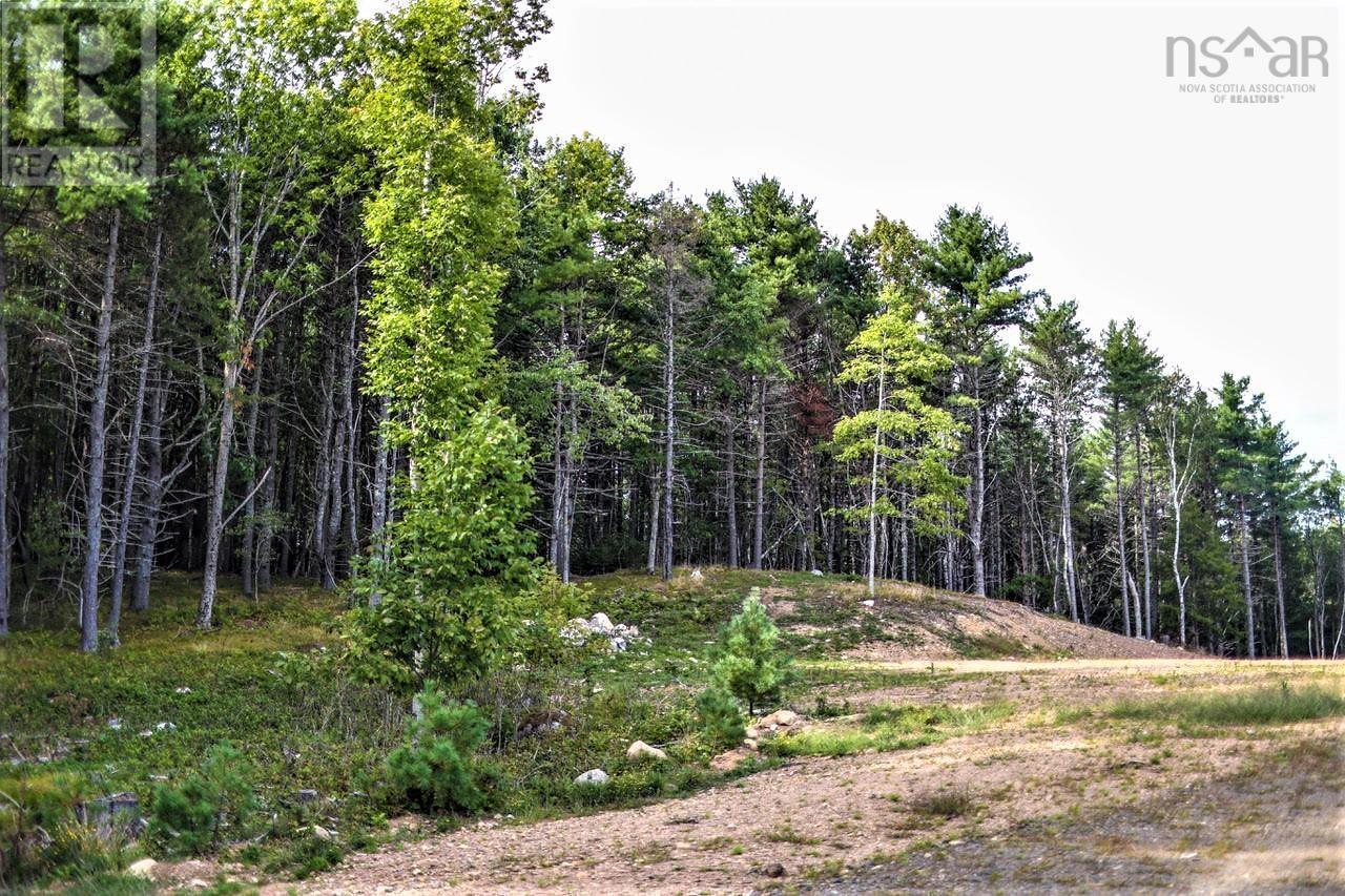 Lot 21-1 & -2 Wye Street, Mahone Bay, Nova Scotia  B0J 2E0 - Photo 6 - 202520754