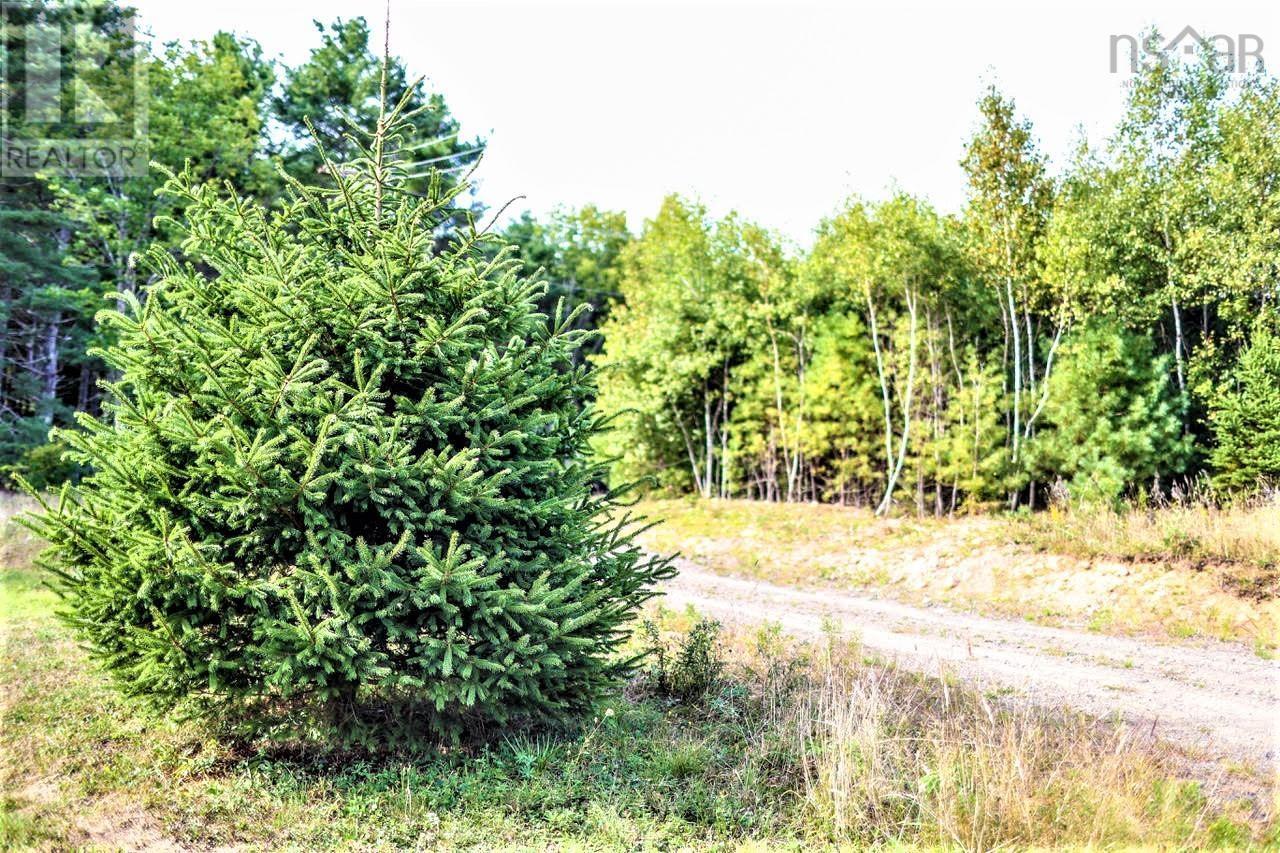 Lot 21-1 & -2 Wye Street, Mahone Bay, Nova Scotia  B0J 2E0 - Photo 9 - 202520754