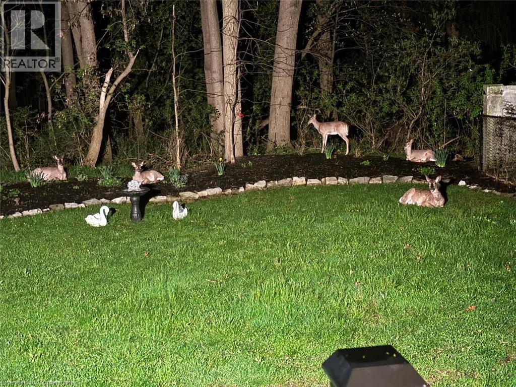 16 Freeland Court, Hamilton, Ontario  L8S 3R5 - Photo 44 - 40760867