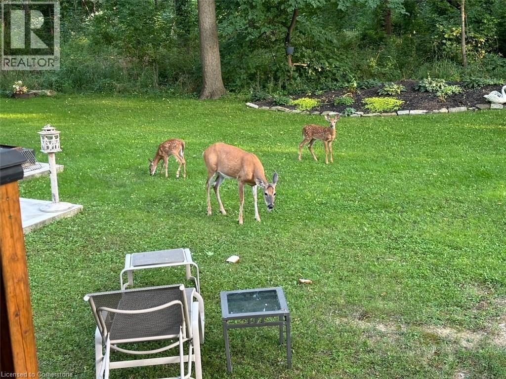 16 Freeland Court, Hamilton, Ontario  L8S 3R5 - Photo 43 - 40760867