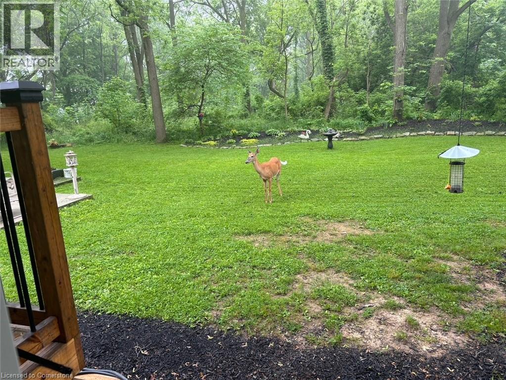 16 Freeland Court, Hamilton, Ontario  L8S 3R5 - Photo 45 - 40760867