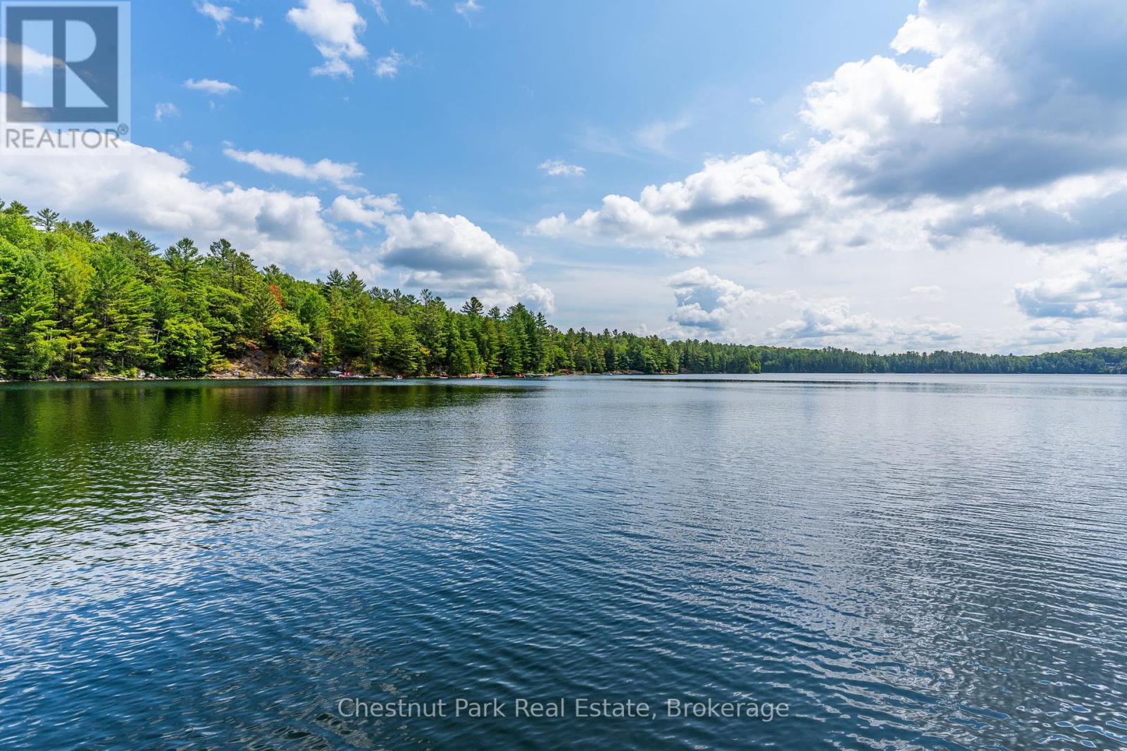 1199 Camp Wheeler Lane, Algonquin Highlands, Ontario  K0M 1J2 - Photo 4 - X12347202