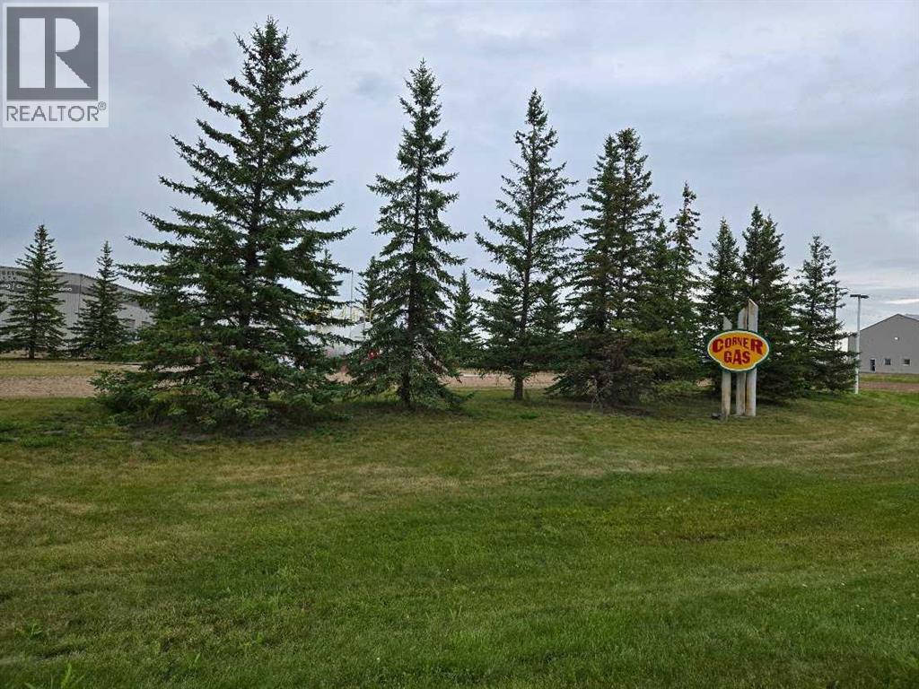 12 Spruce Drive, Sedgewick, Alberta  T0B 4C0 - Photo 5 - A2248690
