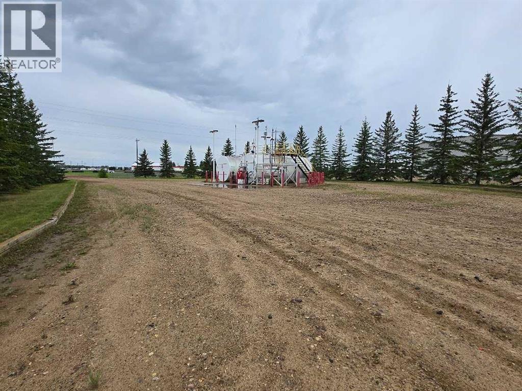 12 Spruce Drive, Sedgewick, Alberta  T0B 4C0 - Photo 8 - A2248690