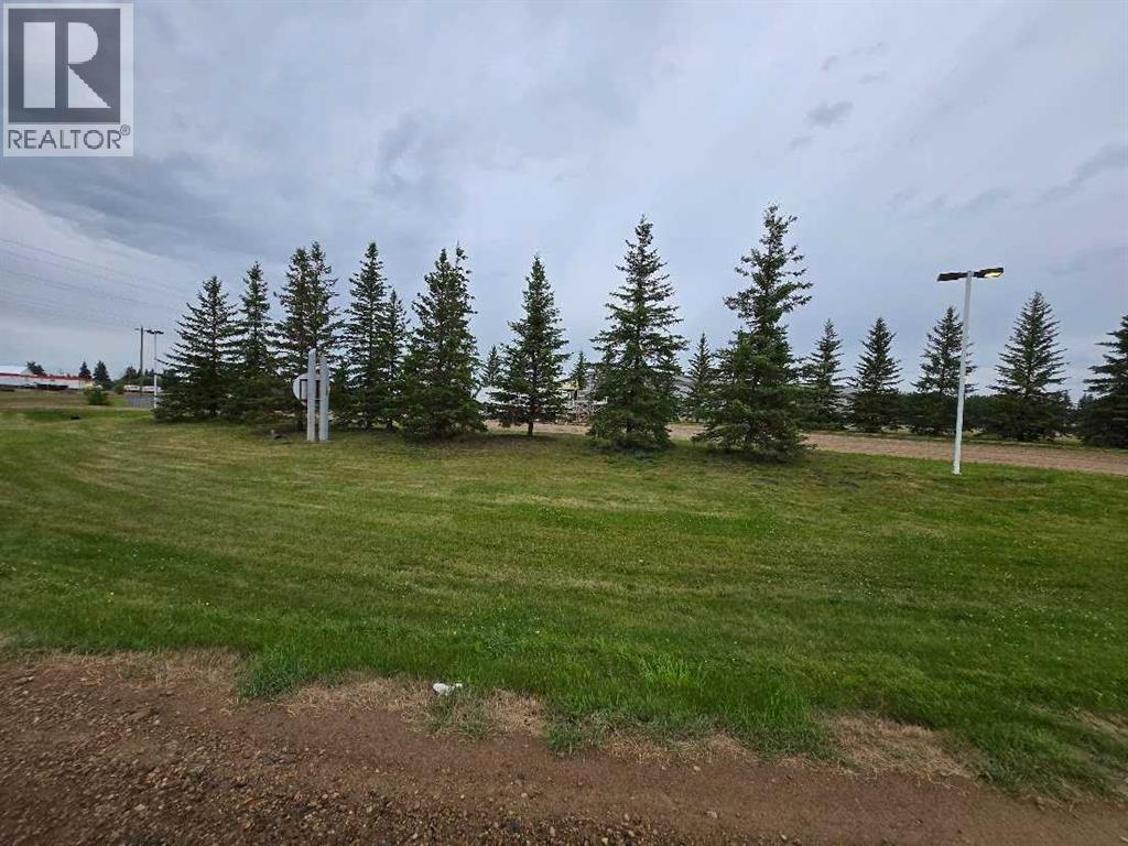 12 Spruce Drive, Sedgewick, Alberta  T0B 4C0 - Photo 9 - A2248690