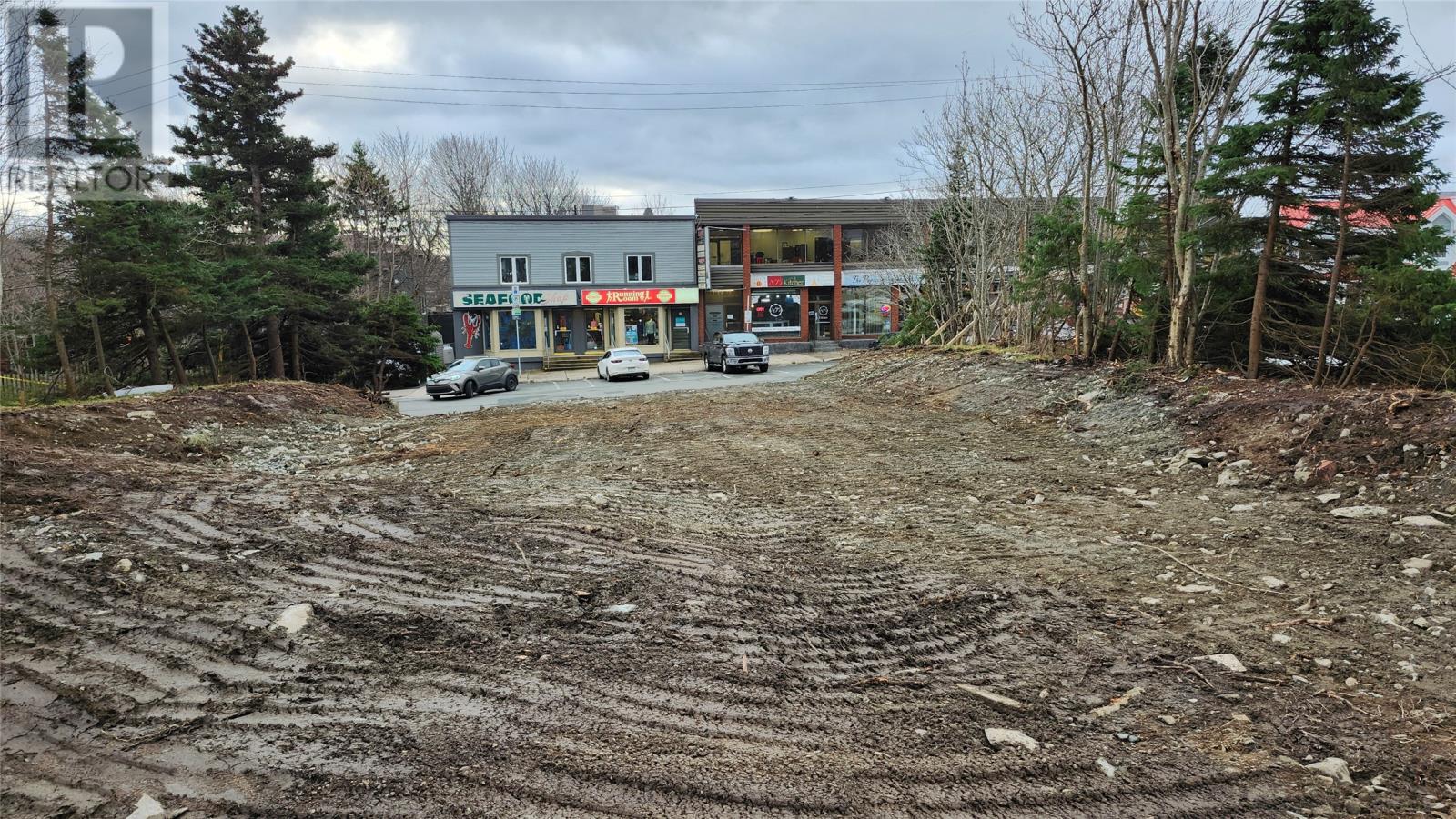 4 Rowan Street, St. John's, Newfoundland & Labrador  A1B 2X3 - Photo 4 - 1289271