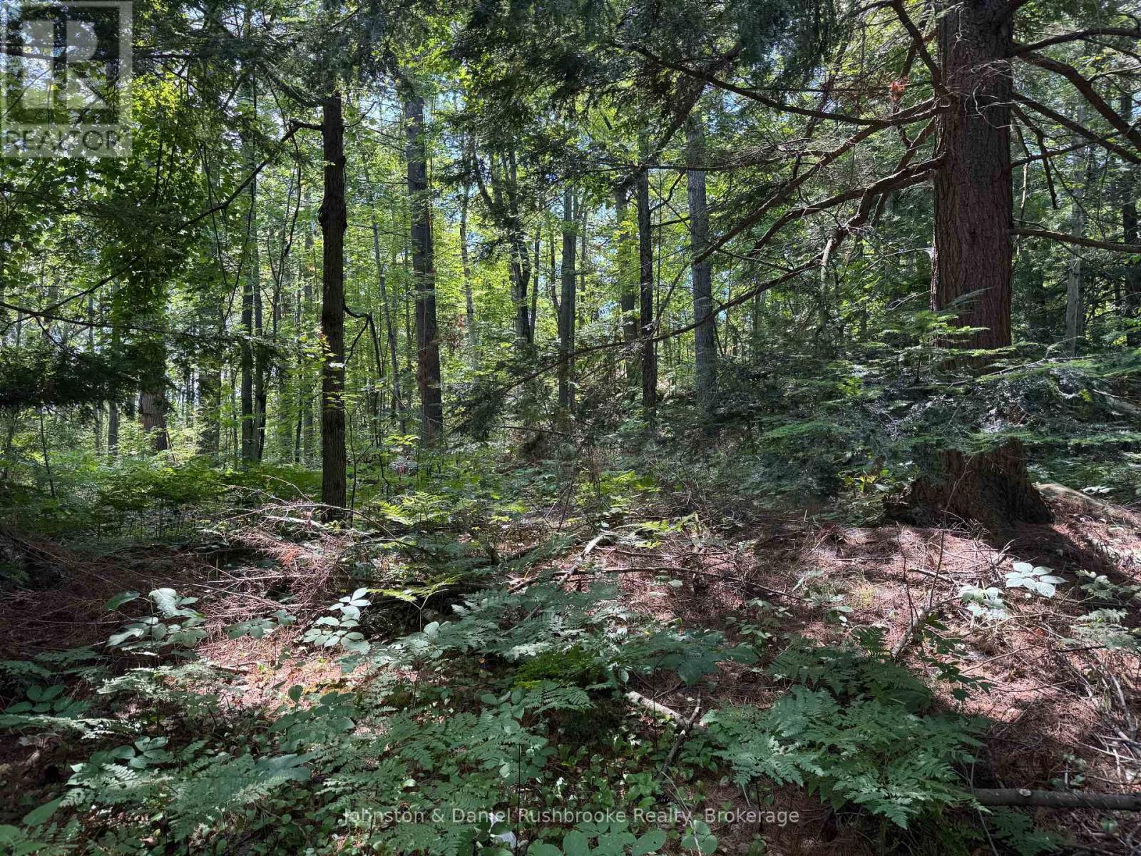 2 Island 24lm (Denison), Gravenhurst, Ontario  P1P 1R2 - Photo 11 - X12347419