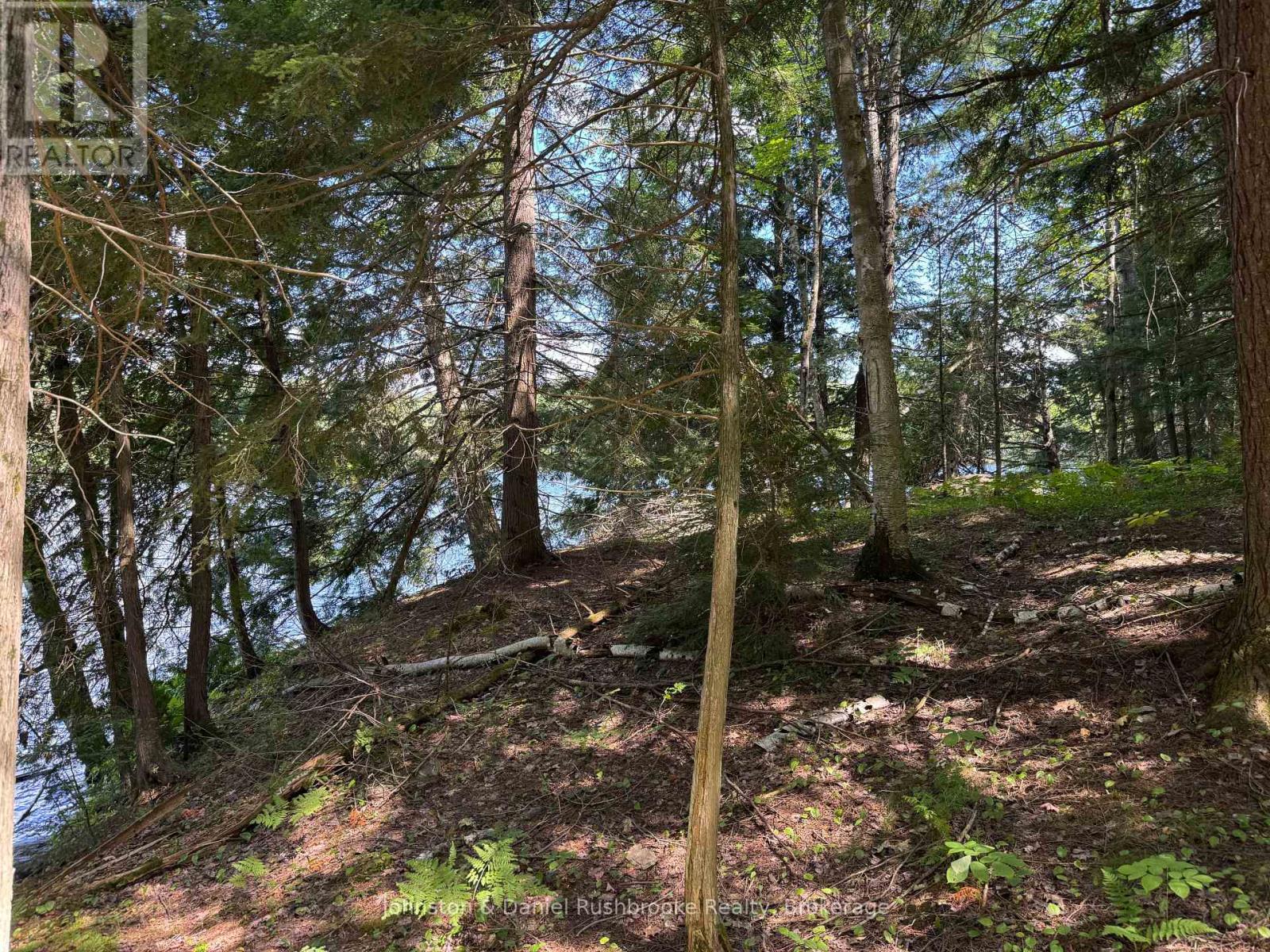 2 Island 24lm (Denison), Gravenhurst, Ontario  P1P 1R2 - Photo 9 - X12347419