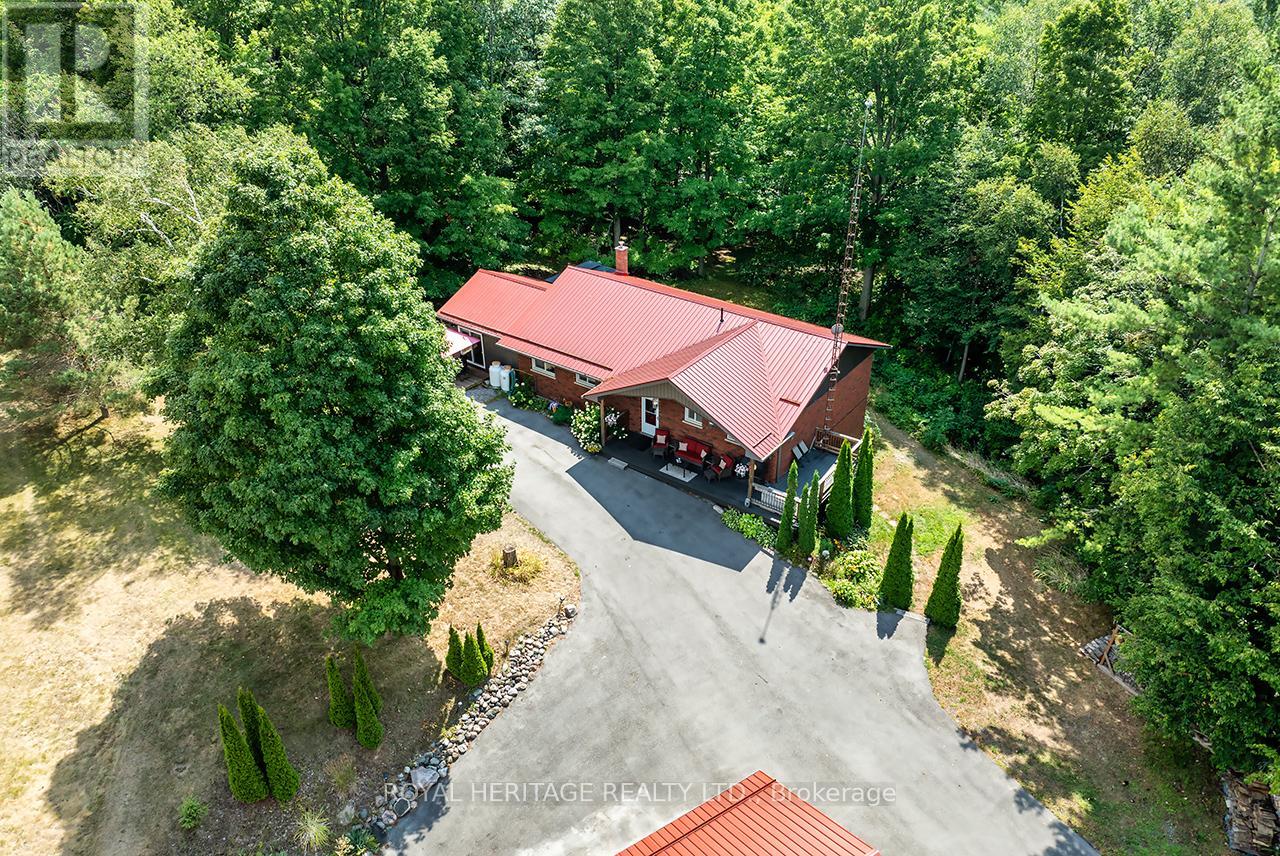 601 Clouston Road, Alnwick/haldimand, Ontario  K0K 1C0 - Photo 5 - X12347271