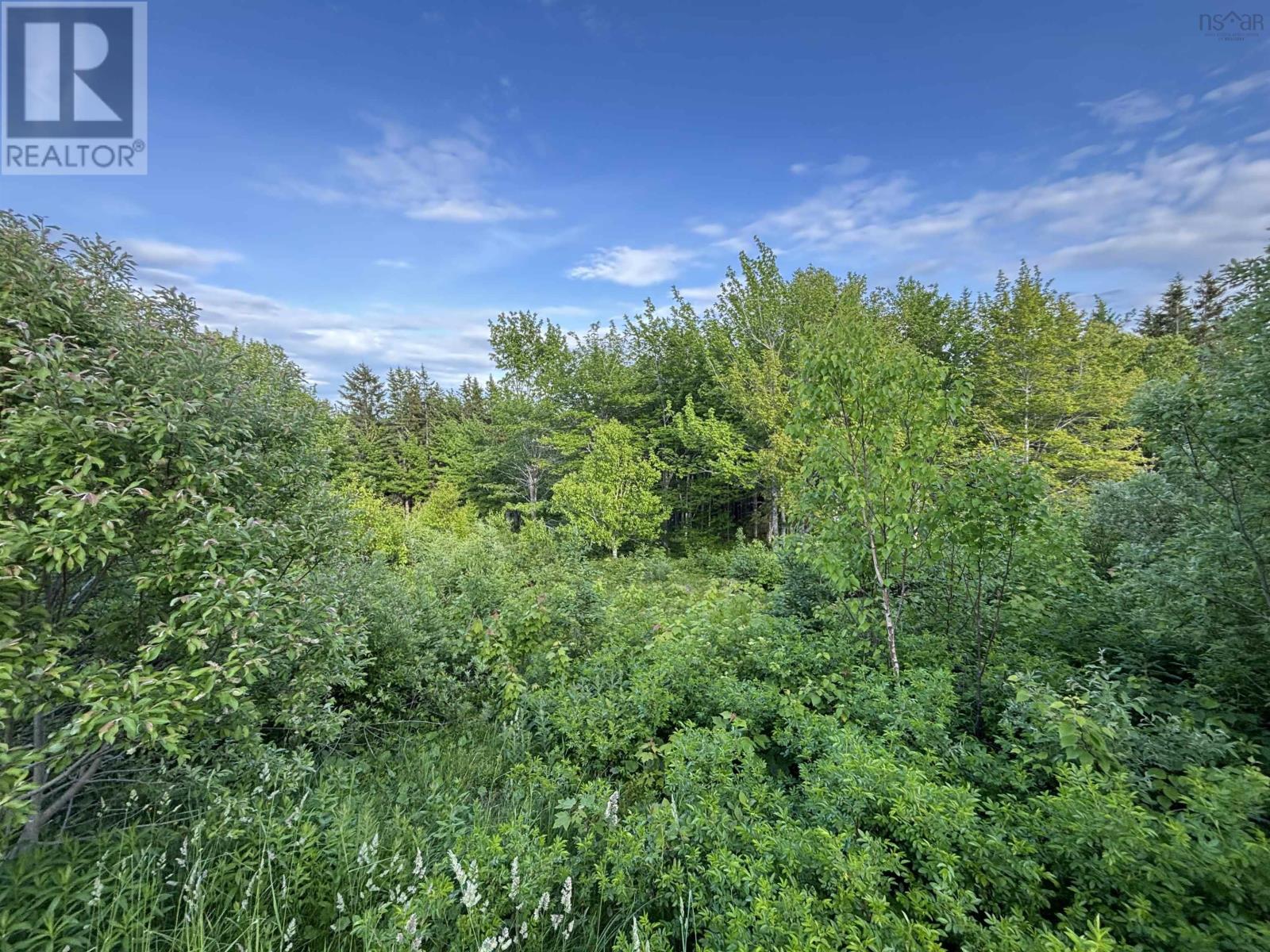 28 Parkland Place, Dalem Lake, Nova Scotia  B1Y 2X9 - Photo 2 - 202520774