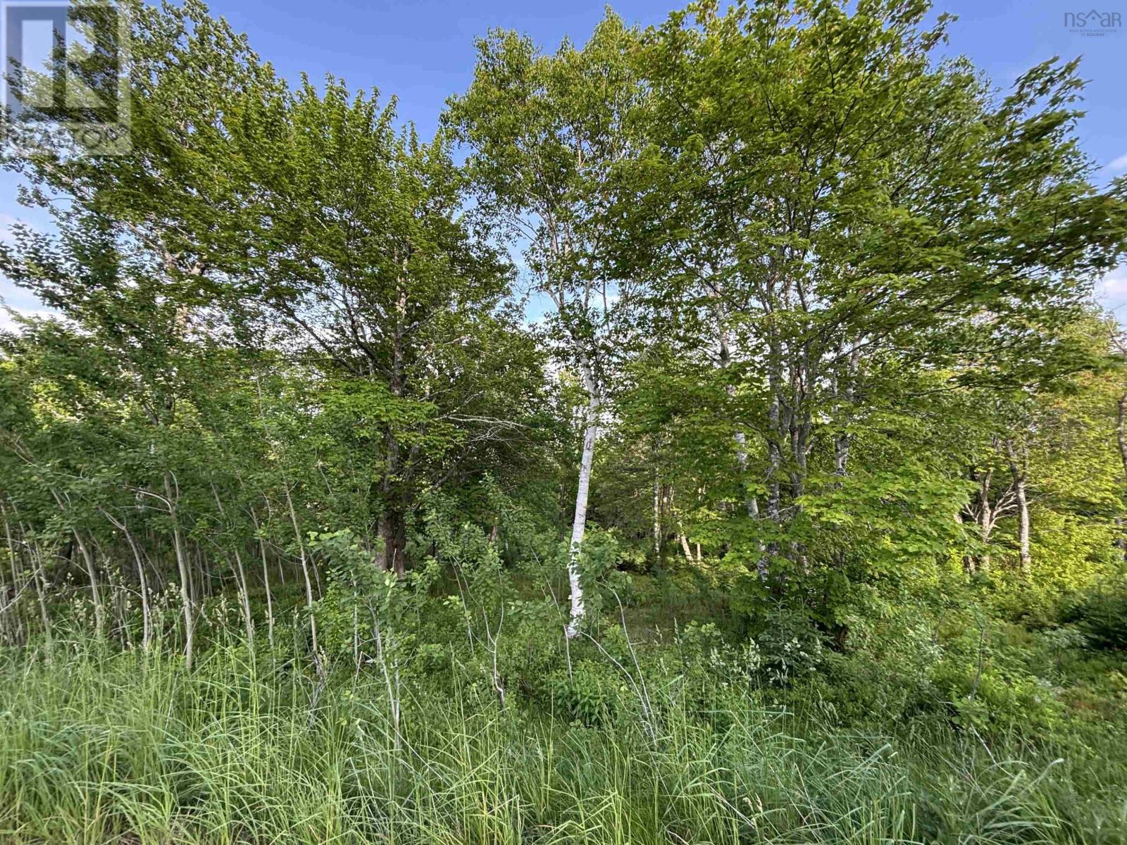 29 Parkland Place, Dalem Lake, Nova Scotia  B1Y 2X9 - Photo 2 - 202520775