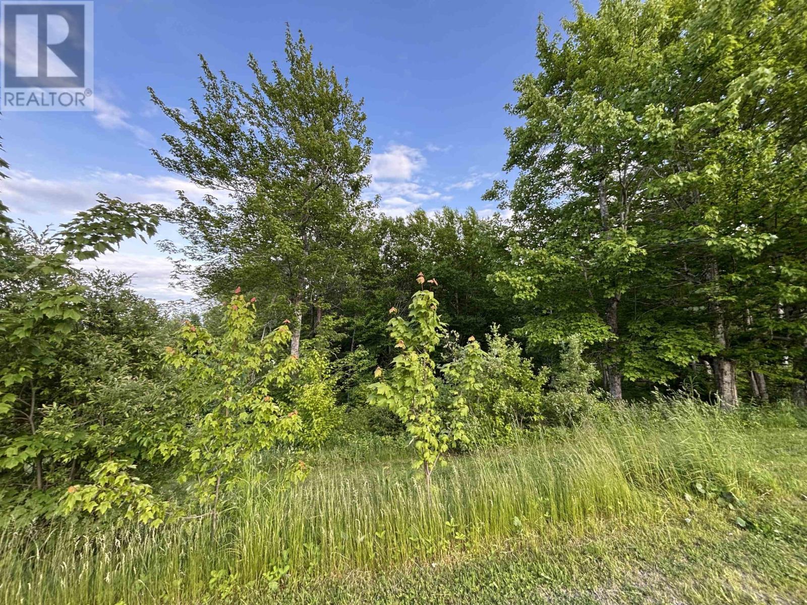 25 Parkland Place, Dalem Lake, Nova Scotia  B1Y 2X9 - Photo 2 - 202520777
