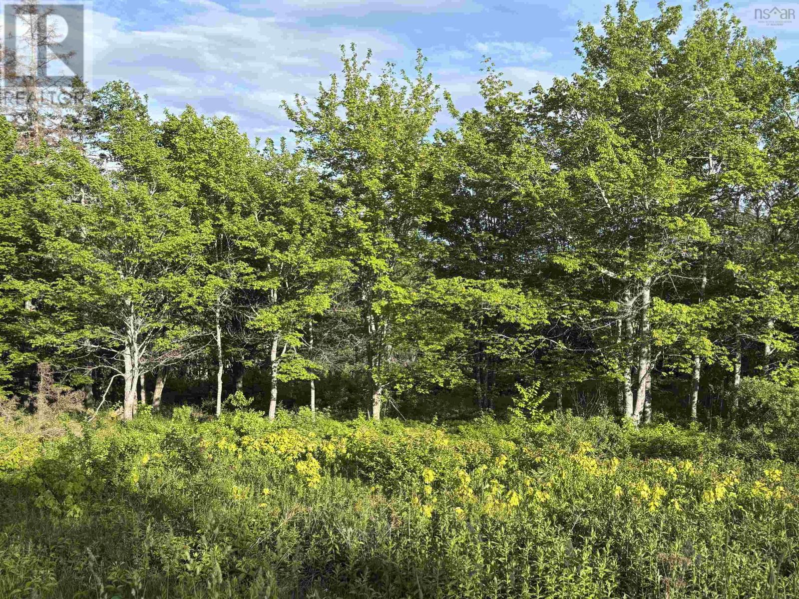 31 Parkland Place, Dalem Lake, Nova Scotia