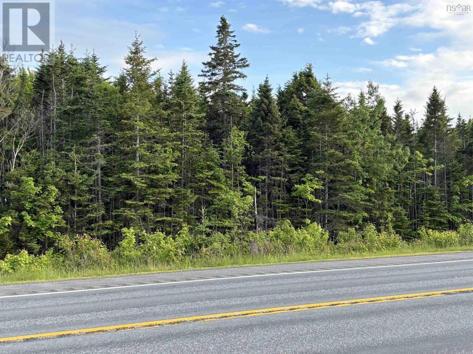 105 Highway Highway, Dalem Lake, Nova Scotia  B1X 1A1 - Photo 2 - 202520781