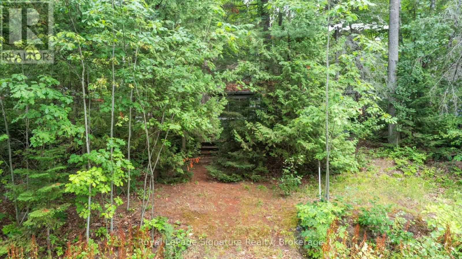 29 Park Road, Tiny, Ontario  L0L 1P1 - Photo 26 - S12347470
