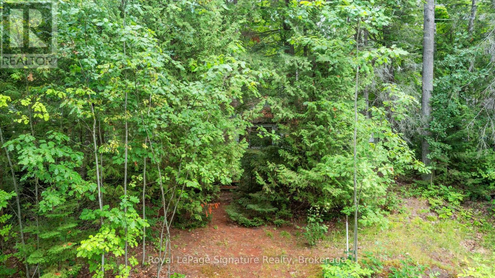 29 Park Road, Tiny, Ontario  L0L 1P1 - Photo 27 - S12347470