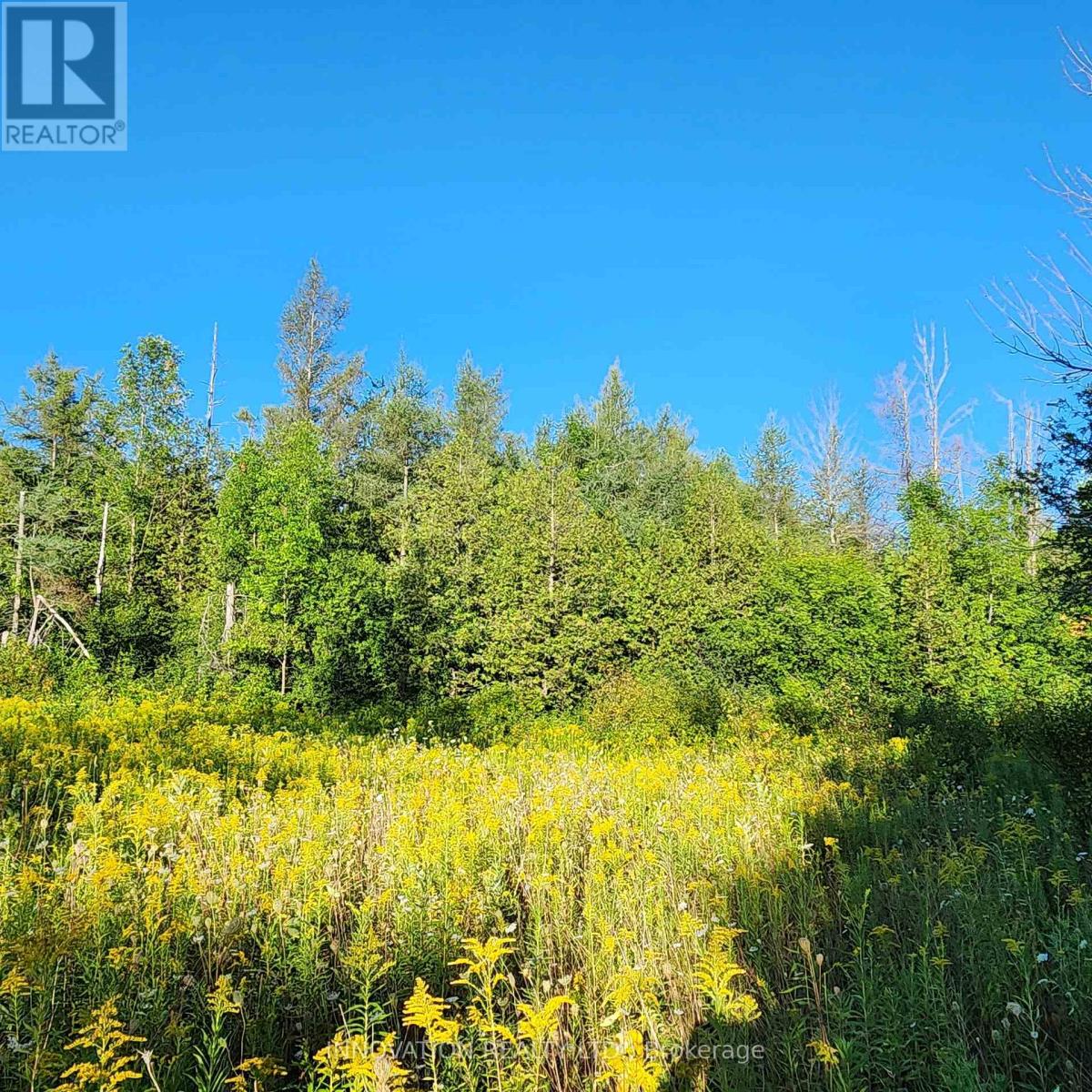 7020 Gallagher Road, Ottawa, Ontario  K0A 2T0 - Photo 2 - X12347559
