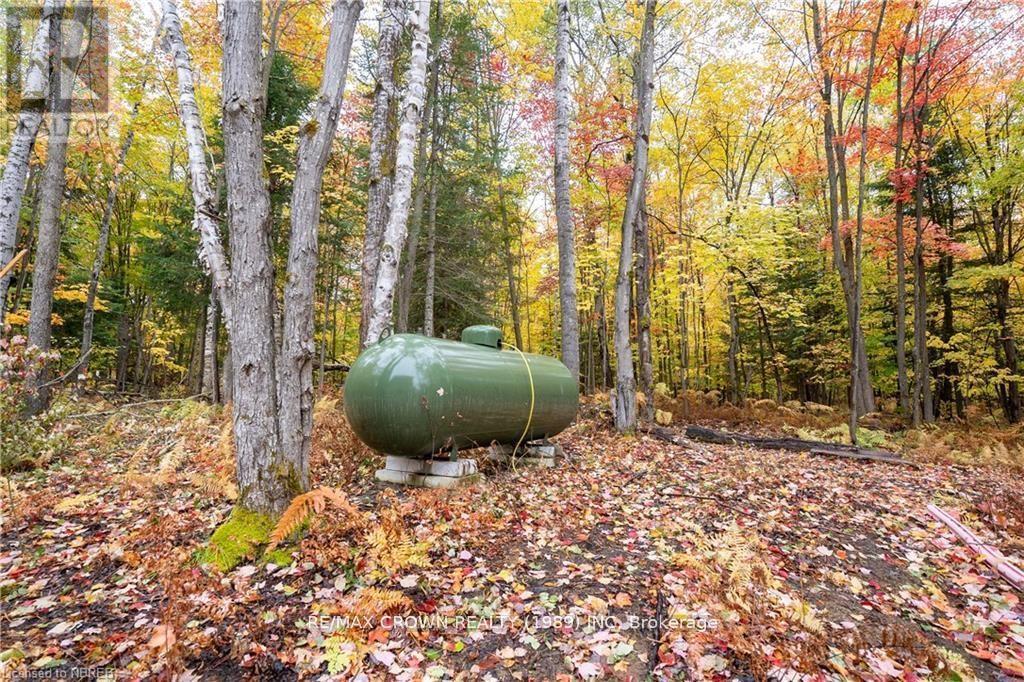 24 Sun Valley Way, Powassan, Ontario P0H 1Z0 - Photo 37 - X12347519