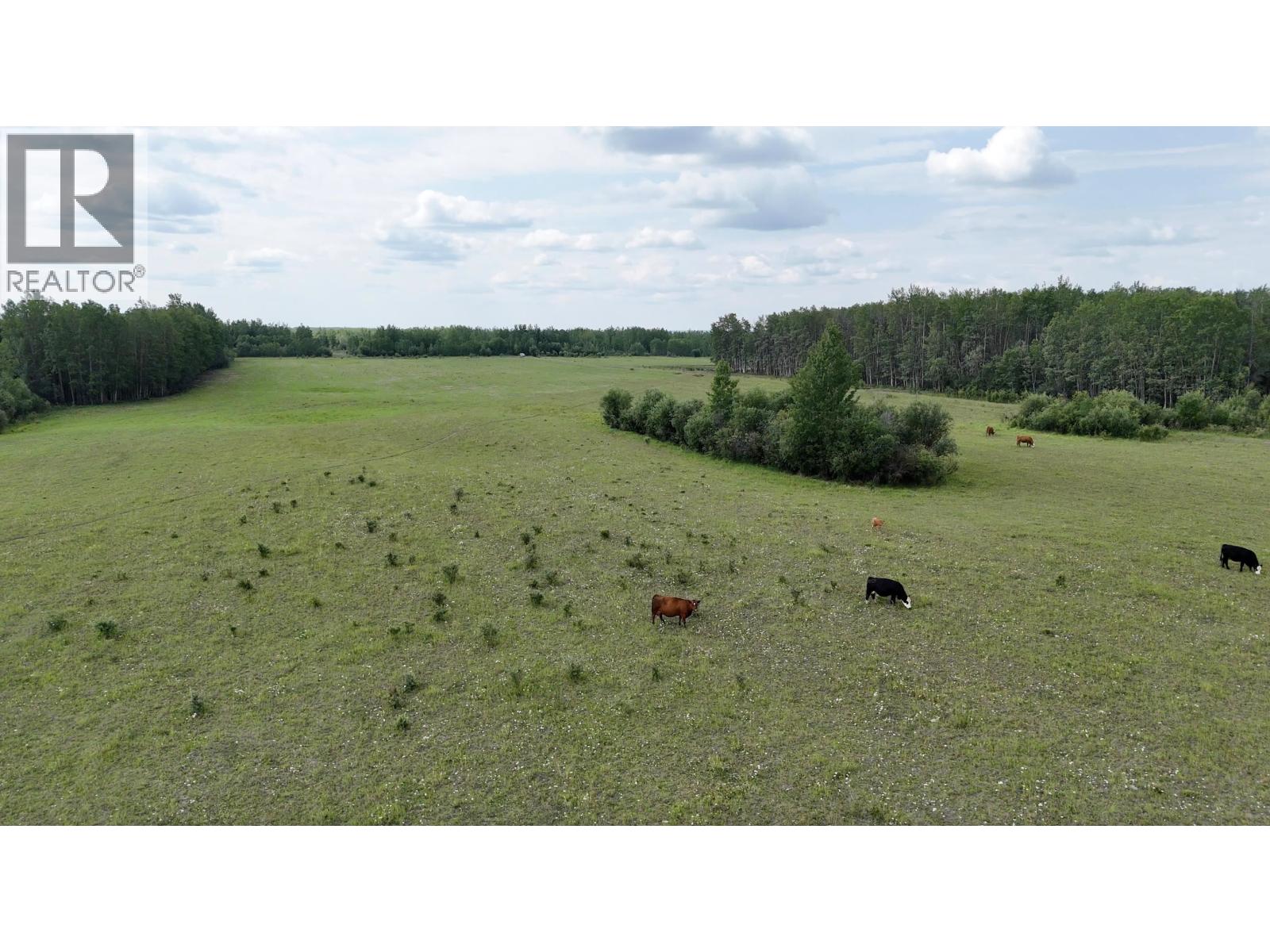 19462 Milligan Creek Road, Fort St. John, British Columbia  V1J 4H8 - Photo 26 - C8071498